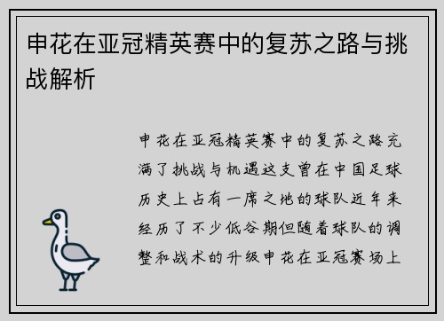 申花在亚冠精英赛中的复苏之路与挑战解析 申花在亚冠精英赛中的复苏之路与挑战解析